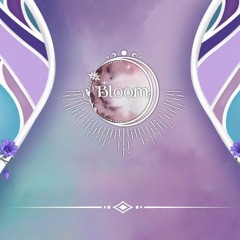 Don Wildman - Bloom Festival 2025