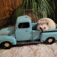 Can't Wait to Meet You (Credits)