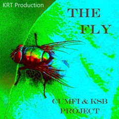 THE FLY Feat Cumfi R.A.S. - (CUMFI & KSB Project) - (KRT Production)