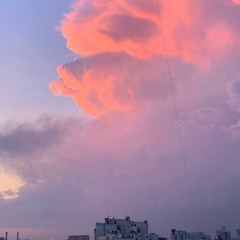 My Own Private Rosewood