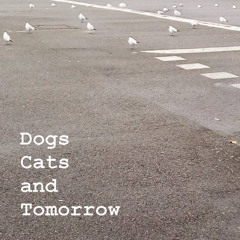 Dogs Cats and Tomorrow