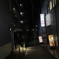 european denim (prod thiszoowe)