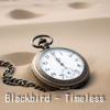 Download Video: Timeless