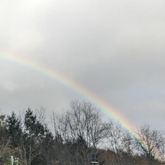 We Are Not Stones, We Are Rainbows (poem)