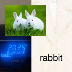 rabbit (prod.me)