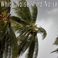 White Noise Wind Noise