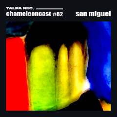 chameleon #82 - San Miguel