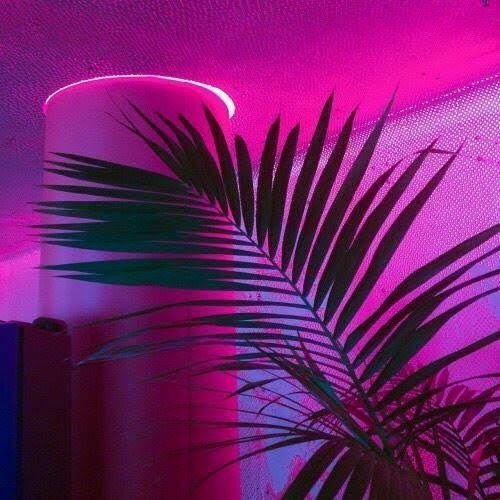 I Have Good Music To Share🎵