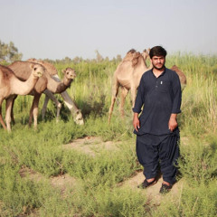 A cham khumar a Anadii Balochi💞