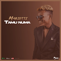 Mariotti - Tamu Numa