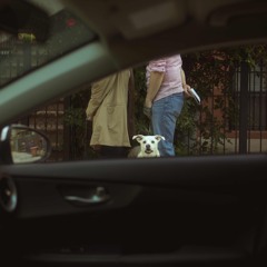 Aleska- Reality (Free Download)