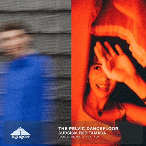 The Pelvic Dancefloor - Subsism b2b Tamada  (Mai 2024)