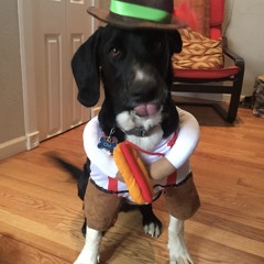 (crates2018) Bark boy