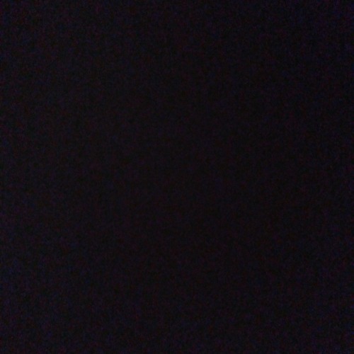 Junt (Prod by. Shank)