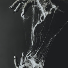 FLLN - Twisted Signals (Free Download)