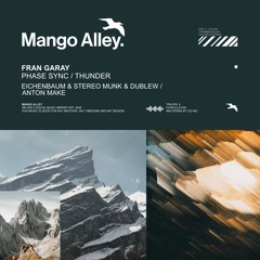 FRAN GARAY Phase Sync (Eichenbaum, STEREO MUNK & Dublew Remix)