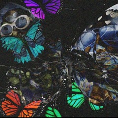 Playboi Carti - Neon Butterflies (slowed and reeverb)