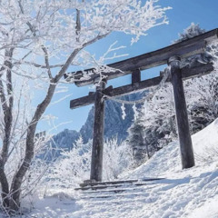 ding @alone #jerseyclub