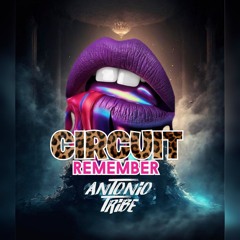 REMEMBER CIRCUIT