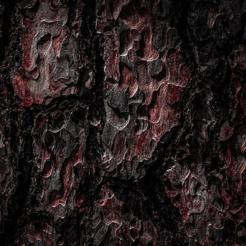 T-PREMIERE: Not Charlie - En La Pesadilla [DRSS899]