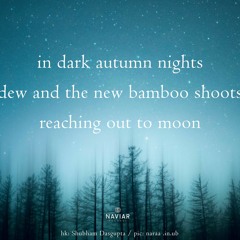 Touch the Moonlight (NaviarHaiku511)