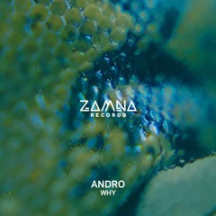 Andro - Why