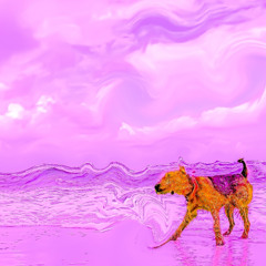 Soul facing the concrete