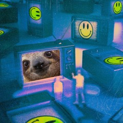 The Sloth Electronic Chill Mix