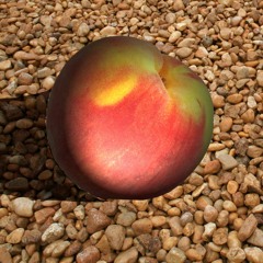 The Fruit (Ground My Feet)