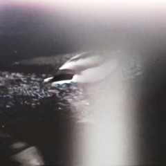 at la nature festival / 20.06.25