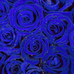 KRAE--KRAE&W.E.R.K PRODUCTIONS _HARD HITTER_  INSTRUMENTAL (WORK IN PROGRESS)