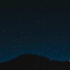 The Way I Walk (Cramps cover)