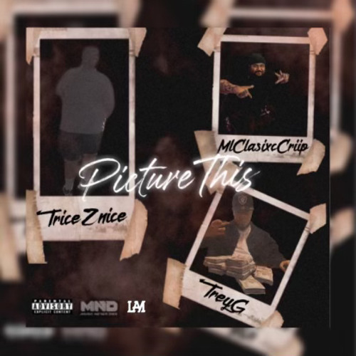 Picture This ft. ML CLASIXC CRIIP & Trey G