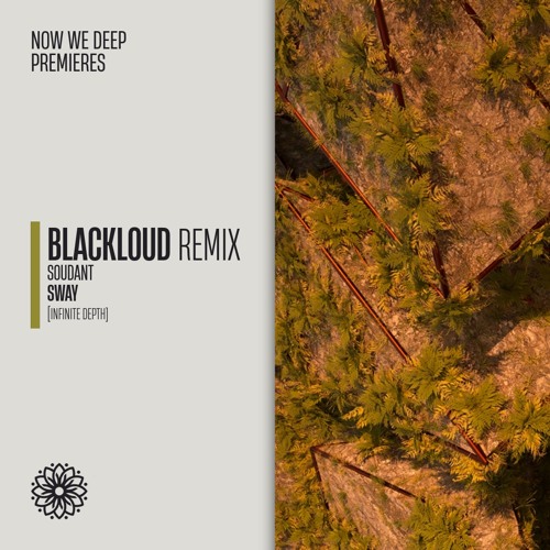 NWD PREMIERE | Soudant - Sway (Blackloud Remix) [Infinite Depth]