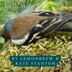 Little Wing (with Lemonbrew)