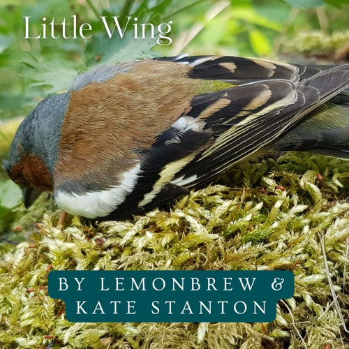 Little Wing (with Lemonbrew)