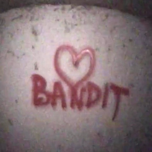BANDIT (DRYDEN EDIT)