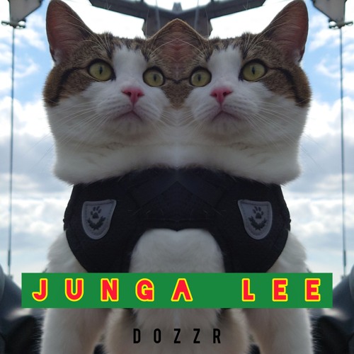Junga Lee [Jungle/DrumandBass] 162 bpm