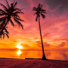 Sunset Vibes Melodies