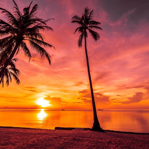 Sunset Vibes Melodies