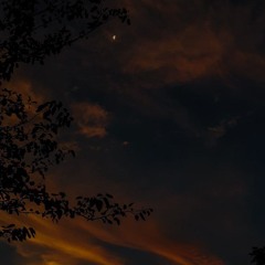 Hạt Mưa Vương Vấn Lofi - Thành Đạt.mp3