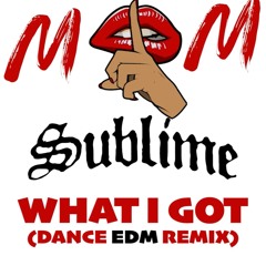 WHAT I GOT (Dance EDM Remix)