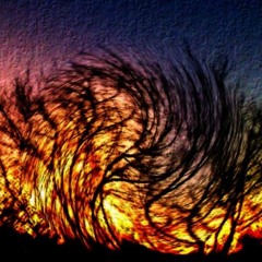 Melodies On A Path - Pt2 , "Trees" ,(Piano Version)