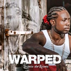 Dj Spidey feat Warped - La voie du Karma | MegaMix | 2021