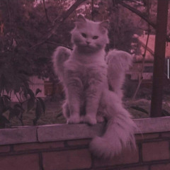 ъъъ