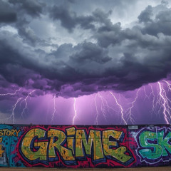 Grime history volume  14 X skynet