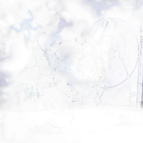 bloom:forever