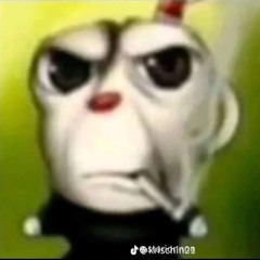 casi vivo snippet