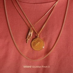 empty crown (naffay flip)