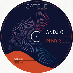 Andj C - In My Soul (Original Mix)
